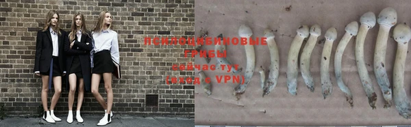a pvp Алзамай