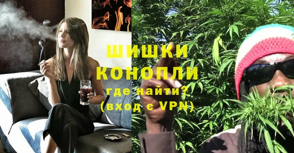 спайс Алексин
