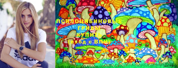 a pvp Алзамай