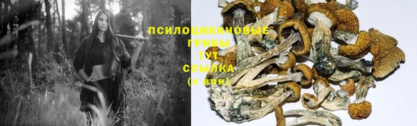спайс Алексин